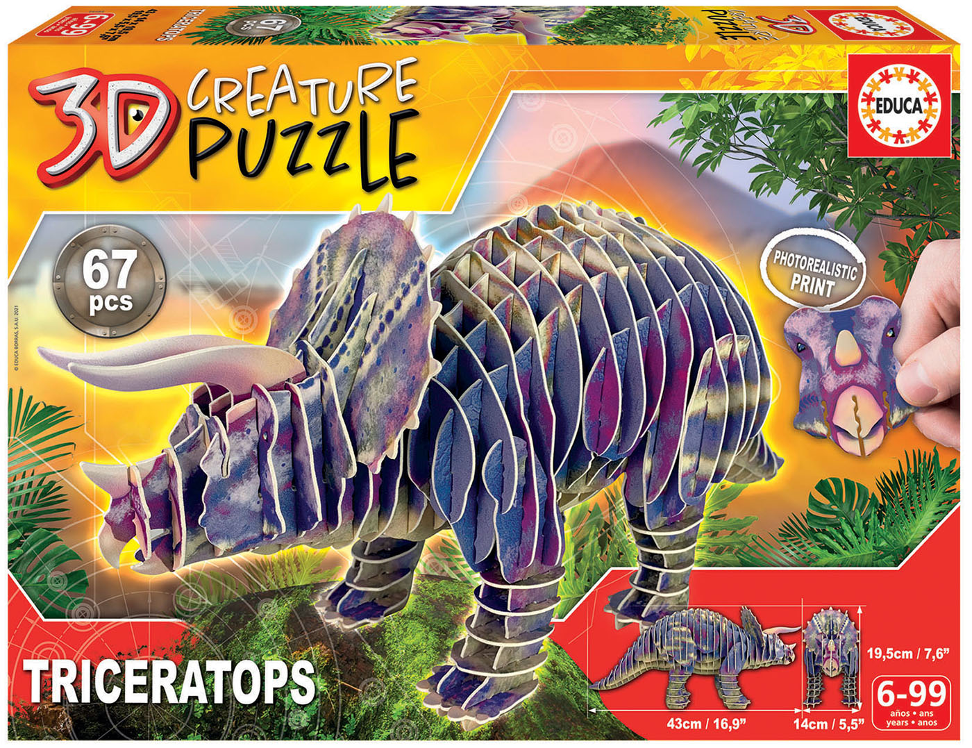 Puzzle 3D Triceratops dinosaurus
